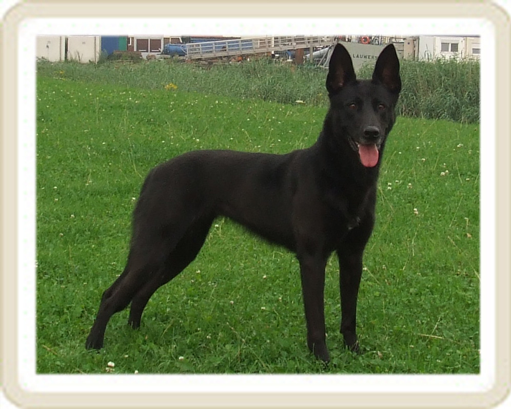 Kaida